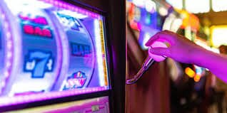 fb77 com sports betting dashboard with cricket focus for adults